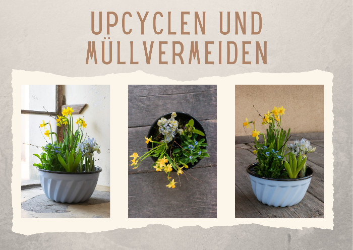 Upcyclen_und_Muellvermeiden_(1).png