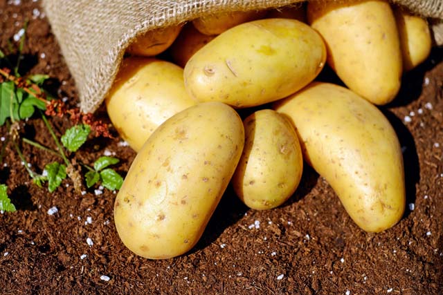 rezepte_Kartoffeln_web.jpg
