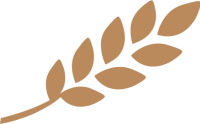 goldene Ähre
